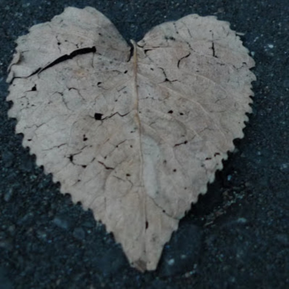 Meet your Posher, Ellen - Picture 1 of 1